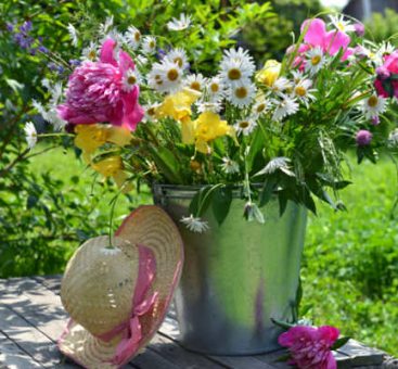 Les saisons se respectent aussi pour les fleurs !
