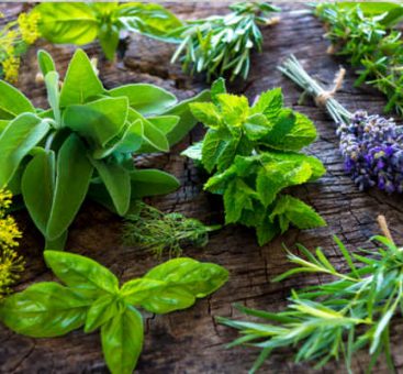 Les bienfaits des herbes aromatiques dans nos assiettes