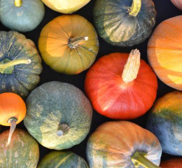 Vos fruits et légumes de décembre, pour une santé au top !