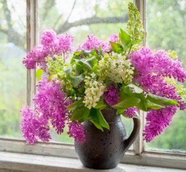 Offrir des fleurs oui, mais alors des fleurs de saison, BIO et équitables !