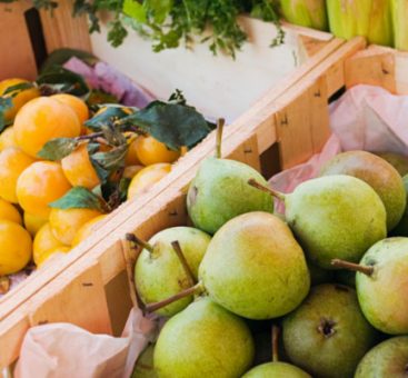 Les pesticides : pas dans mon assiette !