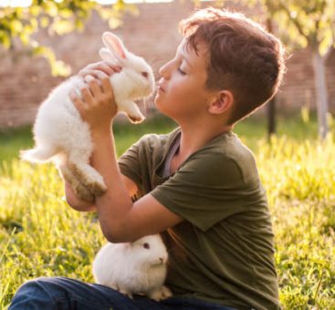Animal de compagnie : comment prendre soin de lui au naturel ?