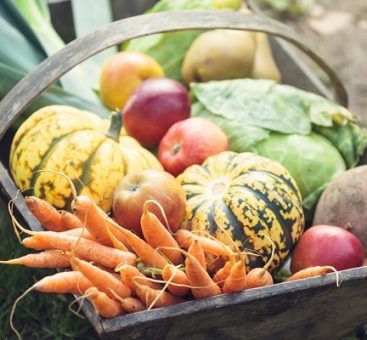 Votre panier maraîcher d’Automne
