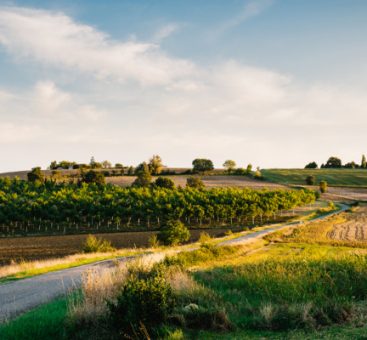 Le Gers, la belle région de Fleurance !