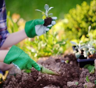 C’est parti pour les beaux jours, on se met au jardinage !