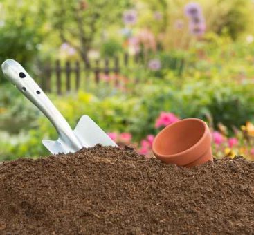 En mars : c’est le moment idéal pour composter !