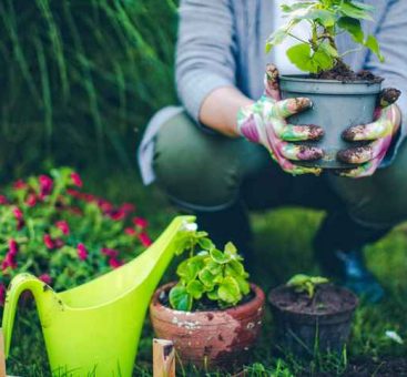 Astuces et bons réflexes : 8 conseils pour jardiner écolo