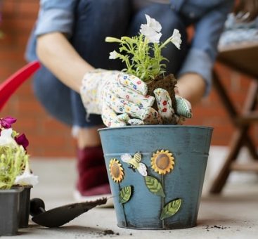Votre balcon, refuge de la biodiversité !