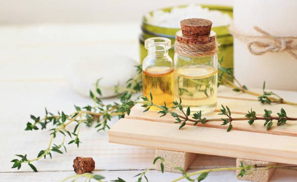 Quels sont les meilleurs anti-moustiques naturels ?