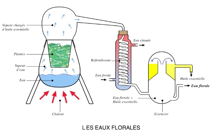eaux-florales-schema