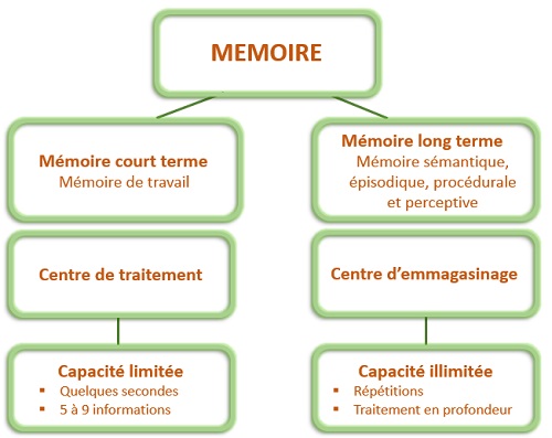 schema memoire