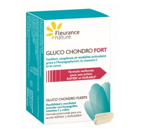 280-260-gluco-chondro-fort