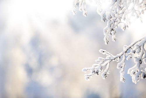 Image de la nature pendant l'hiver