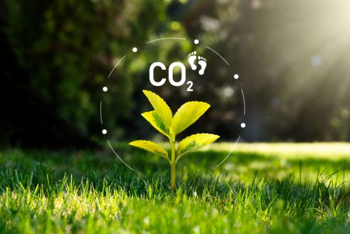 Le bilan carbone 2022 de Fleurance Nature