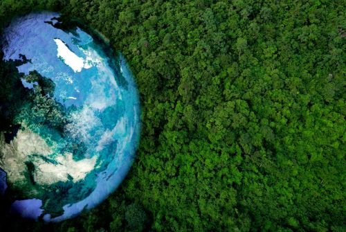 Journée mondiale de l’environnement : agir aujourd’hui pour préserver demain