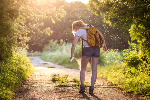 Les meilleurs répulsifs naturels pour lutter contre les tiques et les puces