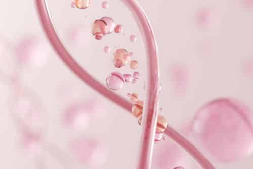 Peptides de collagène